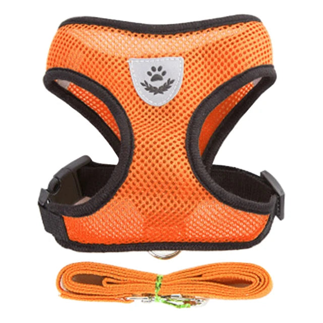 🇫🇷 Harnais pour chat avec laisse – Gilet réglable en maille respirante pour chats et petits chiens  🇬🇧 Cat Harness with Leash – Adjustable mesh vest for cats and small dogs