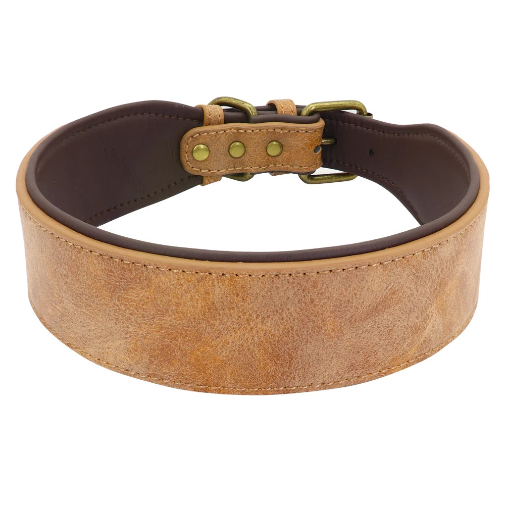 🇫🇷 Collier en cuir personnalisé pour chien – Large, rembourré, gravure du nom gratuite, idéal pour chiens moyens et grands  🇬🇧 Personalized Leather Dog Collar – Wide, padded, free name engraving, ideal for medium & large dogs