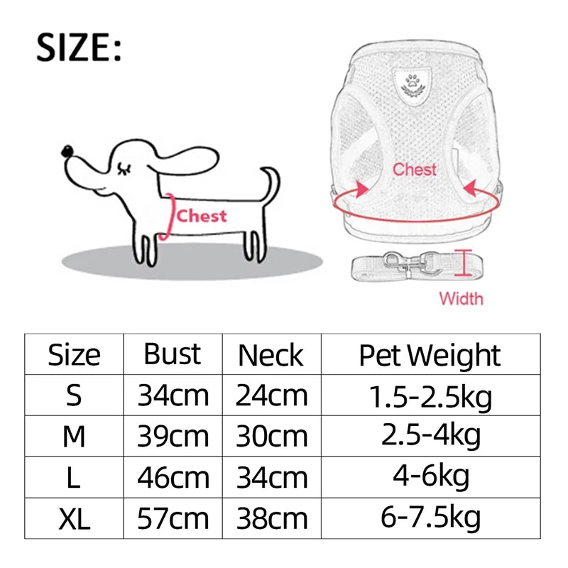🇫🇷 Harnais pour chat avec laisse – Gilet réglable en maille respirante pour chats et petits chiens  🇬🇧 Cat Harness with Leash – Adjustable mesh vest for cats and small dogs