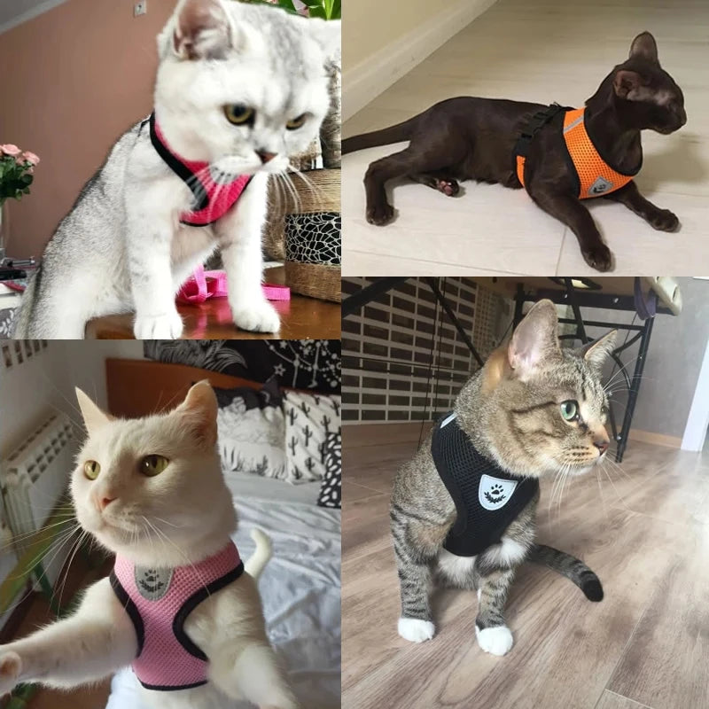 🇫🇷 Harnais pour chat avec laisse – Gilet réglable en maille respirante pour chats et petits chiens  🇬🇧 Cat Harness with Leash – Adjustable mesh vest for cats and small dogs
