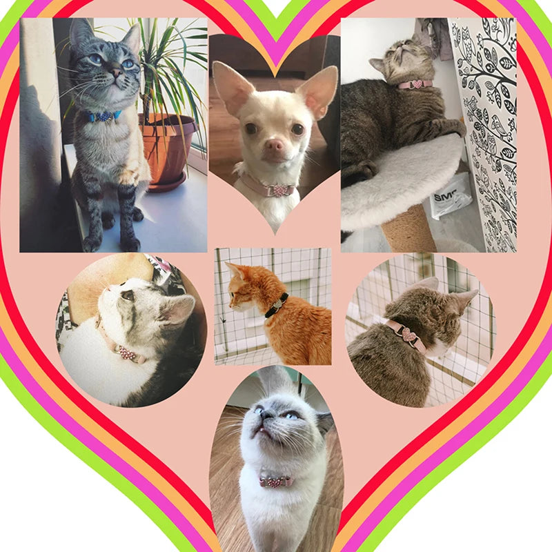 🇫🇷 Collier pour chat en velours avec cœur & grelot – Élastique, réglable et sécurisé, 8 couleurs, convient aussi aux petits chiens  🇬🇧 Velvet Cat Collar with Heart & Bell – Safety elastic, adjustable, 8 colors, also fits small dogs