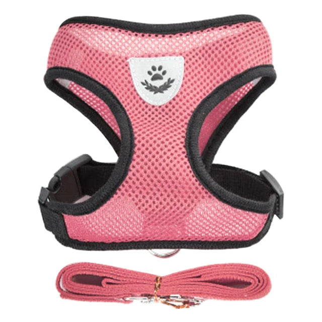 🇫🇷 Harnais pour chat avec laisse – Gilet réglable en maille respirante pour chats et petits chiens  🇬🇧 Cat Harness with Leash – Adjustable mesh vest for cats and small dogs