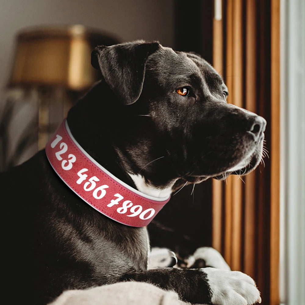 🇫🇷 Collier en cuir personnalisé pour chien – Large, rembourré, gravure du nom gratuite, idéal pour chiens moyens et grands  🇬🇧 Personalized Leather Dog Collar – Wide, padded, free name engraving, ideal for medium & large dogs