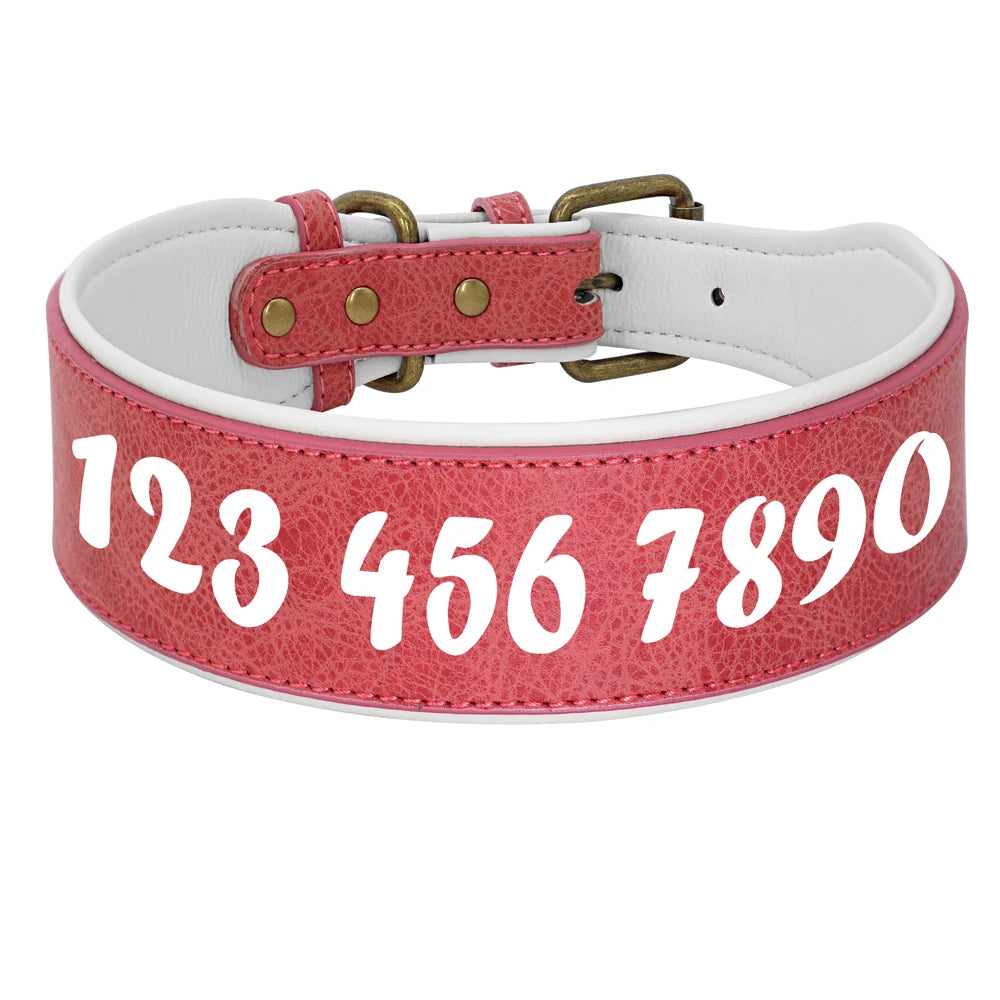 🇫🇷 Collier en cuir personnalisé pour chien – Large, rembourré, gravure du nom gratuite, idéal pour chiens moyens et grands  🇬🇧 Personalized Leather Dog Collar – Wide, padded, free name engraving, ideal for medium & large dogs