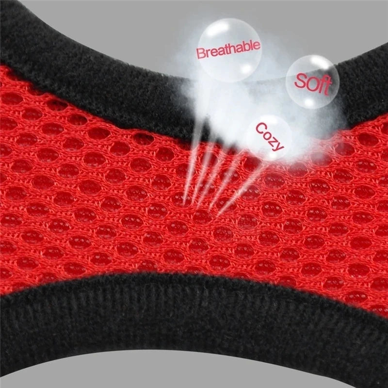🇫🇷 Harnais pour chat avec laisse – Gilet réglable en maille respirante pour chats et petits chiens  🇬🇧 Cat Harness with Leash – Adjustable mesh vest for cats and small dogs
