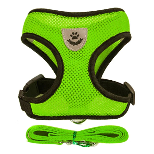 🇫🇷 Harnais pour chat avec laisse – Gilet réglable en maille respirante pour chats et petits chiens  🇬🇧 Cat Harness with Leash – Adjustable mesh vest for cats and small dogs