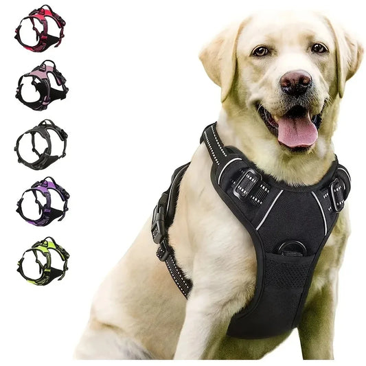 🇫🇷 Colliers, harnais, laisses et accessoires pour chiens – Ensemble cuir pour chiots, petits et moyens chiens. 🇬🇧 Dog collars, harnesses, leashes & accessories – Leather set for puppies, small & medium dogs.