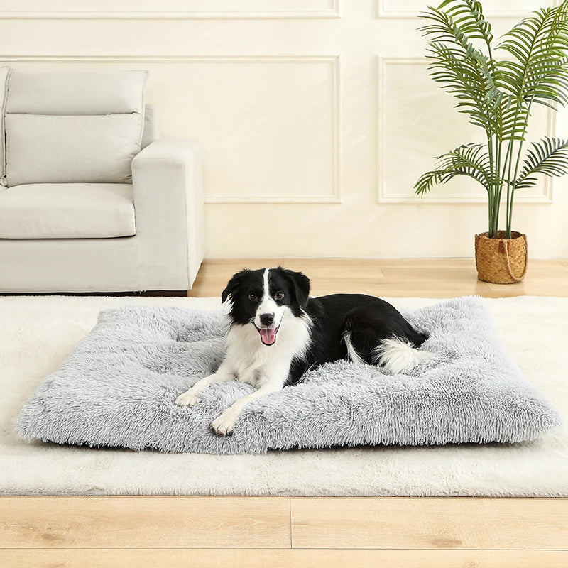 🇫🇷 Lit pour chien ultra doux – Maison en peluche longue, coussin confortable, panier ou canapé pour chiens, chats et petits animaux 🇬🇧 Soft Plush Dog Bed – Cozy House, Cushion or Sofa for Dogs, Cats & Small Pets, Ideal for Rest & Sleep
