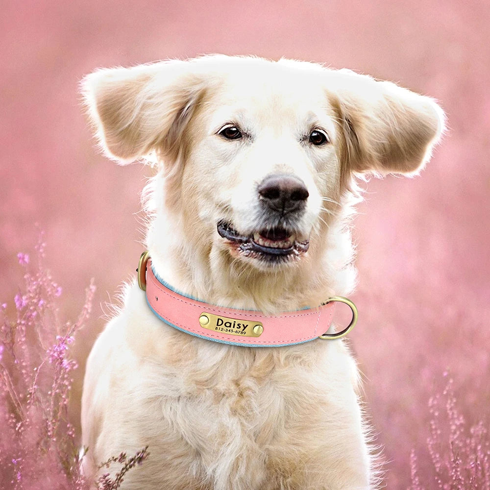 🇫🇷 Collier pour chien en cuir PU personnalisé – Doublure rembourrée, gravure gratuite du nom, réglable pour petits, moyens et grands chiens  🇬🇧 Customized PU Leather Dog Collar – Soft padded, free name engraving, adjustable for small, medium & large dogs