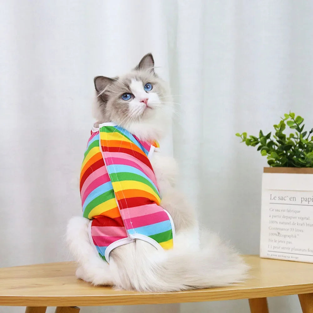 🇫🇷 Combinaison de récupération pour chatte – Body post-stérilisation, anti-léchage, respirant et confortable | 🇬🇧 Cat Surgery Recovery Suit – Female Spay Onesie, Breathable Anti-Licking Clothes for Cats & Kittens