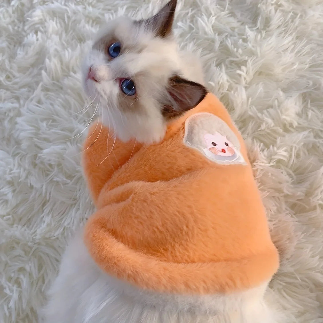 🇫🇷 Vêtements d’hiver pour chatons – Gilets chauds ou rafraîchissants pour petits chats et chiens, accessoires doux et confortables 🇬🇧 Winter Clothes for Kittens – Soft Warm or Cooling Vests for Cats & Small Dogs, Comfortable Pet Apparel