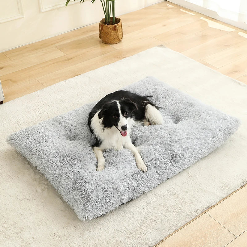 🇫🇷 Lit pour chien ultra doux – Maison en peluche longue, coussin confortable, panier ou canapé pour chiens, chats et petits animaux 🇬🇧 Soft Plush Dog Bed – Cozy House, Cushion or Sofa for Dogs, Cats & Small Pets, Ideal for Rest & Sleep