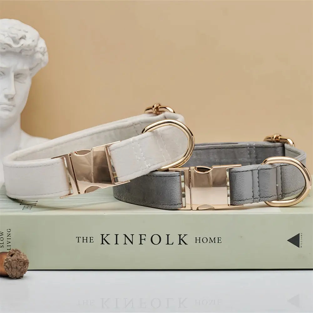 🇫🇷 Collier pour chien en velours personnalisable – Plaque gravée avec nom, boucle métal, laisse assortie,  idéal pour chiot   🇬🇧 Velvet Personalized Dog Collar – Engraved Name Plate, Metal Buckle, Matching Leash, Perfect Puppy or Wedding Gift