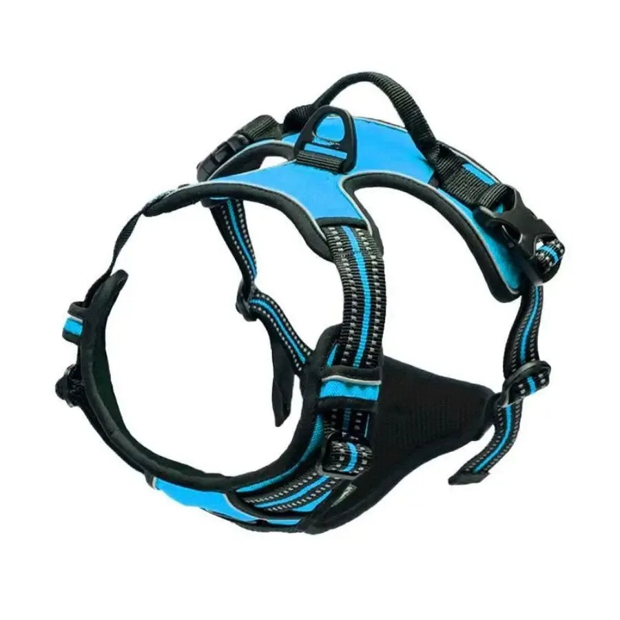 🇫🇷 Colliers, harnais, laisses et accessoires pour chiens – Ensemble cuir pour chiots, petits et moyens chiens. 🇬🇧 Dog collars, harnesses, leashes & accessories – Leather set for puppies, small & medium dogs.