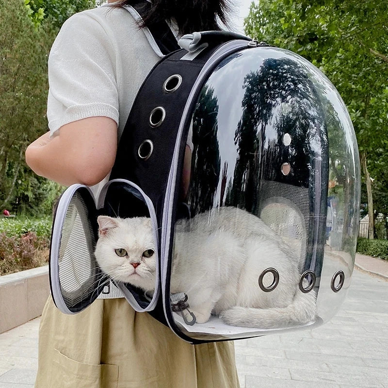 🇫🇷 Sac à dos capsule transparent pour chat et petit chien – Sac de transport respirant et portable  🇬🇧 Transparent Capsule Pet Backpack – Breathable and portable carrier for cats & small dogs