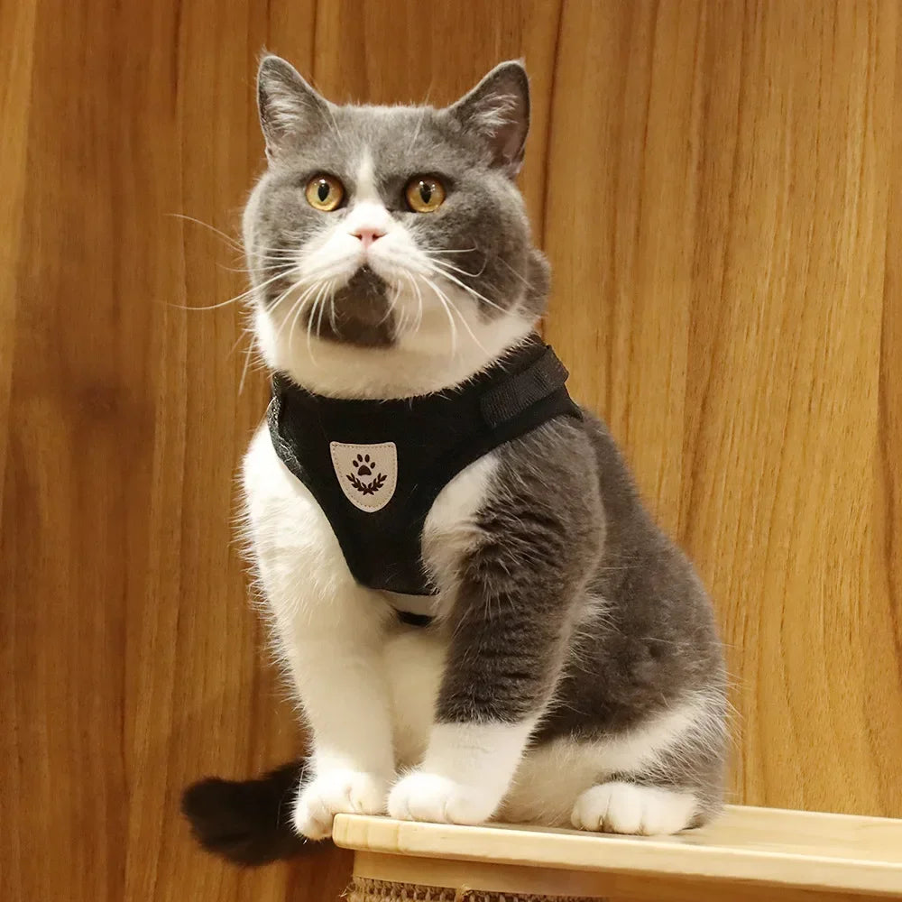 🇫🇷 Français : Harnais pour chat avec laisse – Réglable, réfléchissant et anti‑fugue – Gilet en maille pour chats et petits chiens  🇬🇧 English : Cat Harness & Leash Set – Adjustable, Reflective, Escape‑Proof Mesh Vest for Cats & Small Dogs