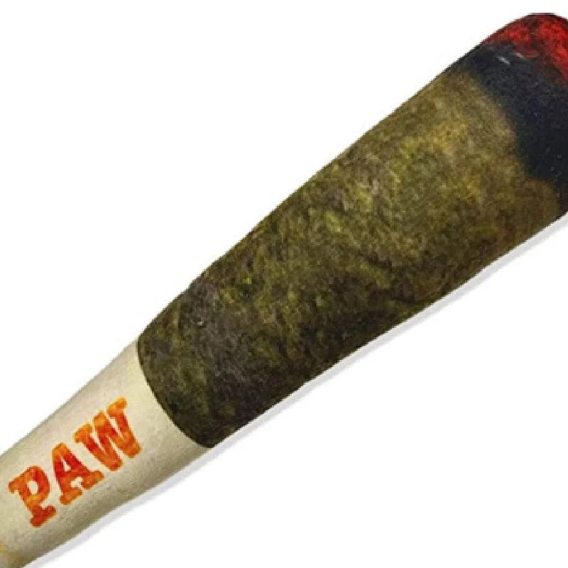 🇫🇷 Jouet cigare interactif pour chien – Peluche résistante avec couineur, idéal petits chiens, mâchage et jeu prolongé. 🇬🇧 Interactive cigar dog toy – Durable squeaky plush for small dogs, perfect for chewing and long play sessions.