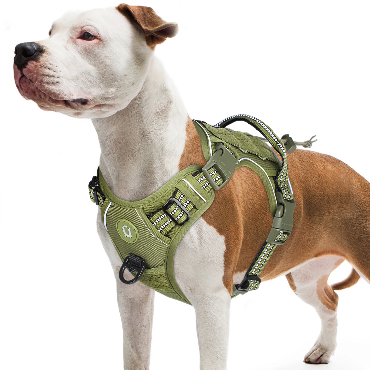 🇫🇷 Colliers stylés & confortables + modèles connectés pour suivre l’activité de votre chien. 🇬🇧 Stylish & comfy collars + smart models to track your dog’s activity.