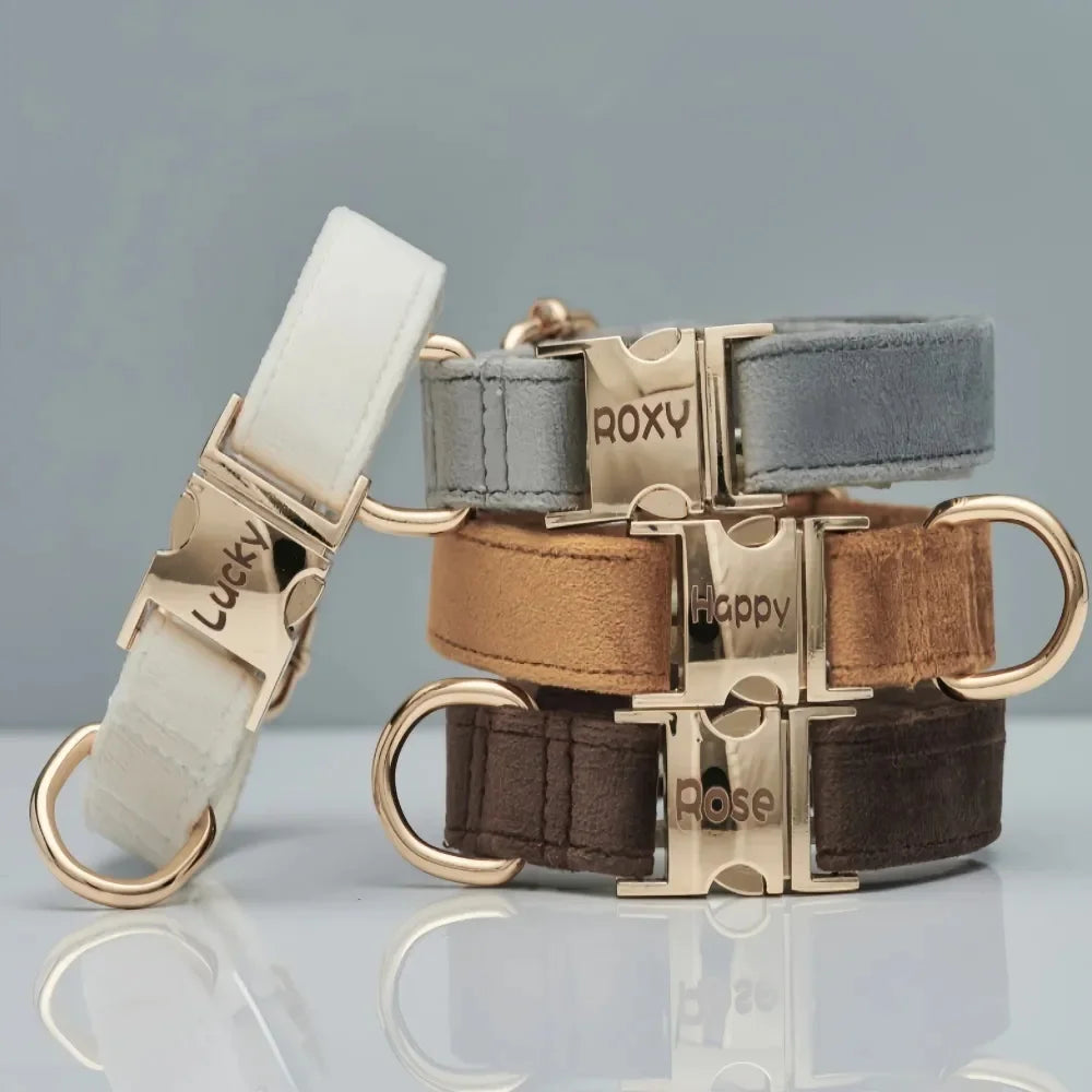 🇫🇷 Collier pour chien en velours personnalisable – Plaque gravée avec nom, boucle métal, laisse assortie,  idéal pour chiot   🇬🇧 Velvet Personalized Dog Collar – Engraved Name Plate, Metal Buckle, Matching Leash, Perfect Puppy or Wedding Gift
