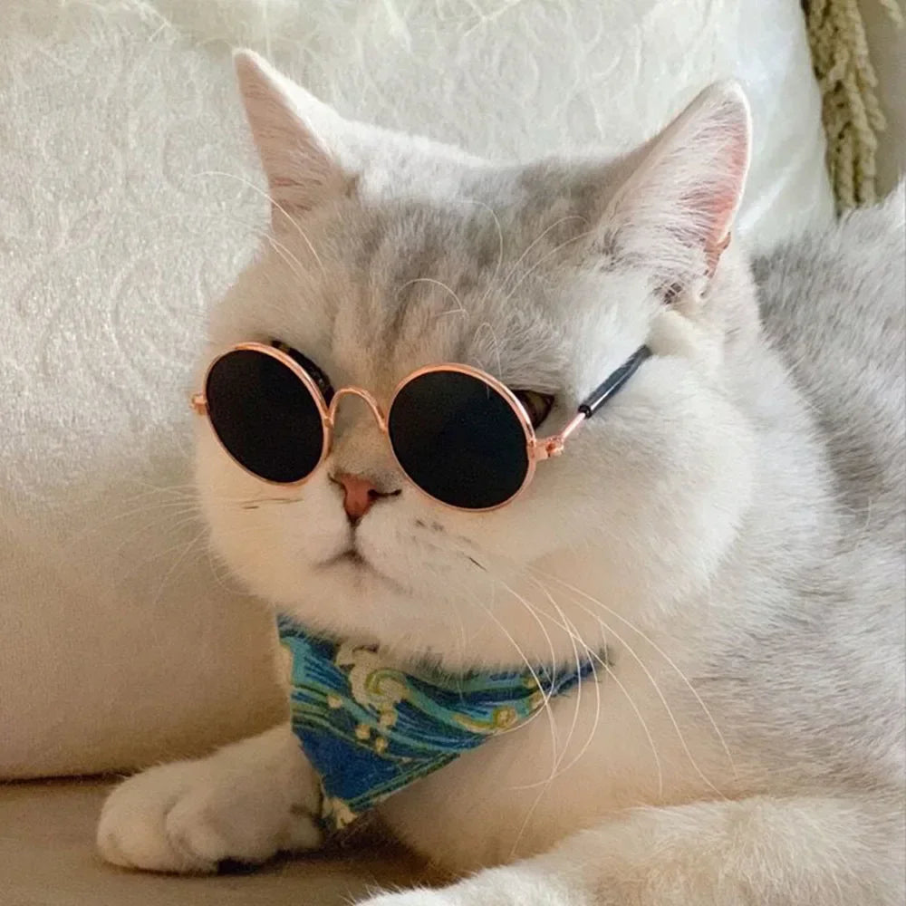 🇫🇷 Français : Lunettes de soleil pour chats et petits chiens – Protection UV, accessoire photo et cosplay  🇬🇧 English : Cat & Small Dog Sunglasses – UV Protection, Cute Cosplay & Photo Prop