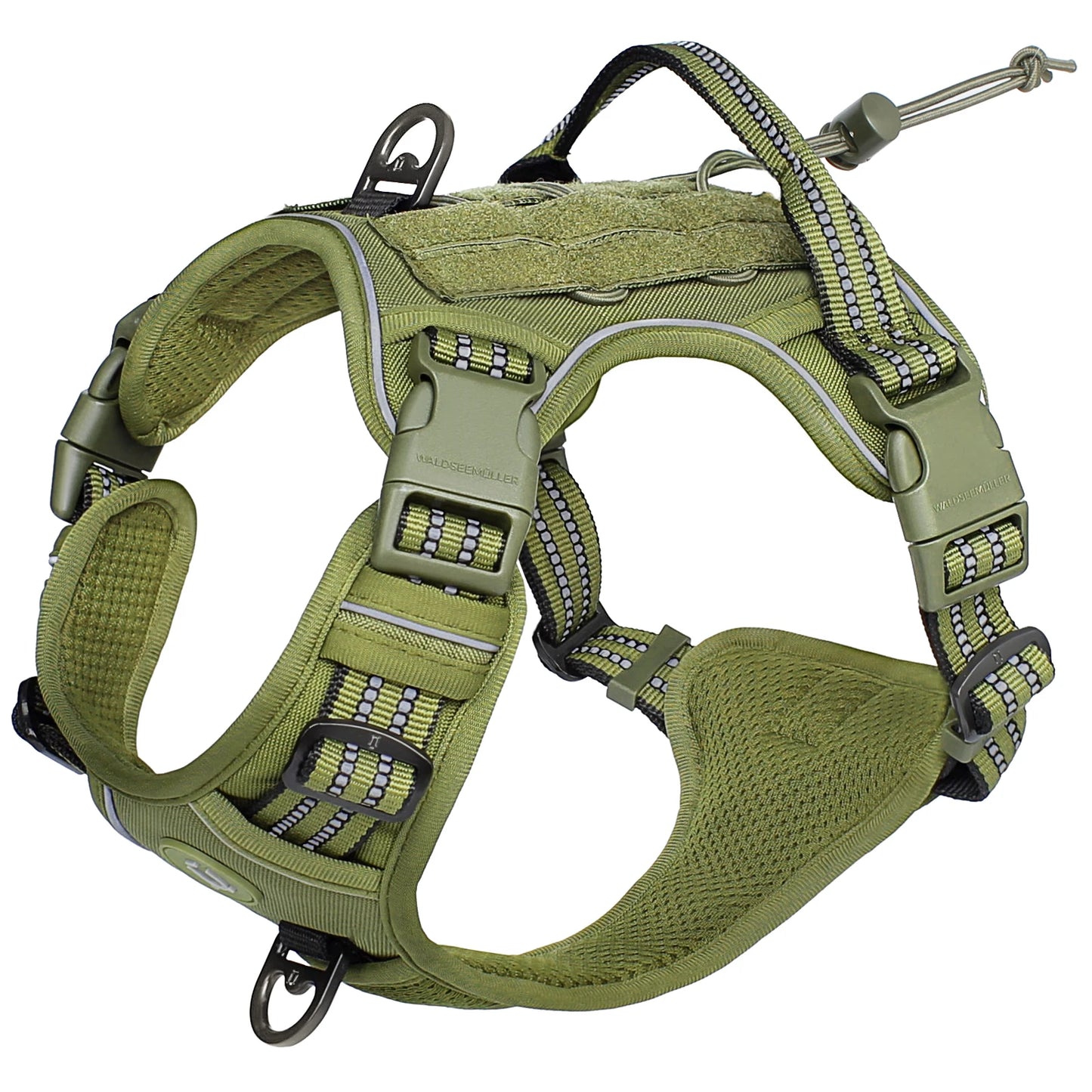 🇫🇷 Colliers stylés & confortables + modèles connectés pour suivre l’activité de votre chien. 🇬🇧 Stylish & comfy collars + smart models to track your dog’s activity.
