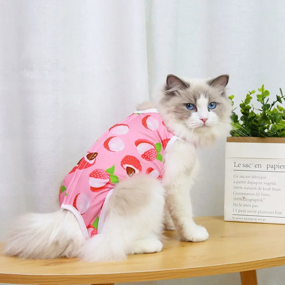 🇫🇷 Combinaison de récupération pour chatte – Body post-stérilisation, anti-léchage, respirant et confortable | 🇬🇧 Cat Surgery Recovery Suit – Female Spay Onesie, Breathable Anti-Licking Clothes for Cats & Kittens