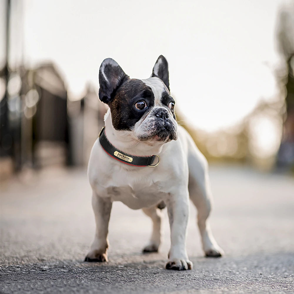 🇫🇷 Collier pour chien en cuir PU personnalisé – Doublure rembourrée, gravure gratuite du nom, réglable pour petits, moyens et grands chiens  🇬🇧 Customized PU Leather Dog Collar – Soft padded, free name engraving, adjustable for small, medium & large dogs