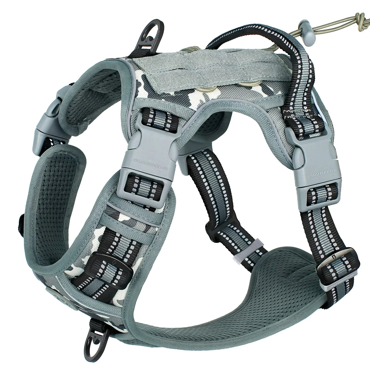 🇫🇷 Colliers stylés & confortables + modèles connectés pour suivre l’activité de votre chien. 🇬🇧 Stylish & comfy collars + smart models to track your dog’s activity.