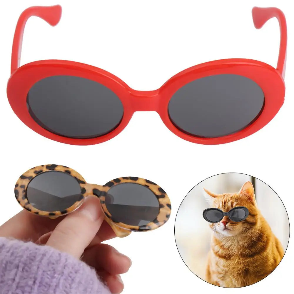 🇫🇷 Lunettes pour animaux – Accessoire photo amusant, lunettes carrées, rondes ou triangulaires pour chats & petits chiens | 🇬🇧 Pet Eyeglasses – Multicolor Square, Round & Triangle Glasses for Cats & Dogs Photo Props