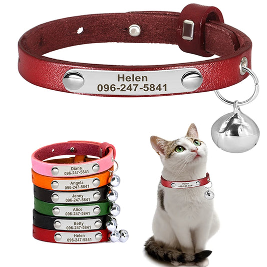 🇫🇷 Collier pour chat en cuir réglable – Personnalisé avec nom gravé, anti-perte, pour chatons et petits chiens  🇬🇧 Personalized Leather Cat Collar – Adjustable, engraved name, anti-lost, for kittens & small dogs
