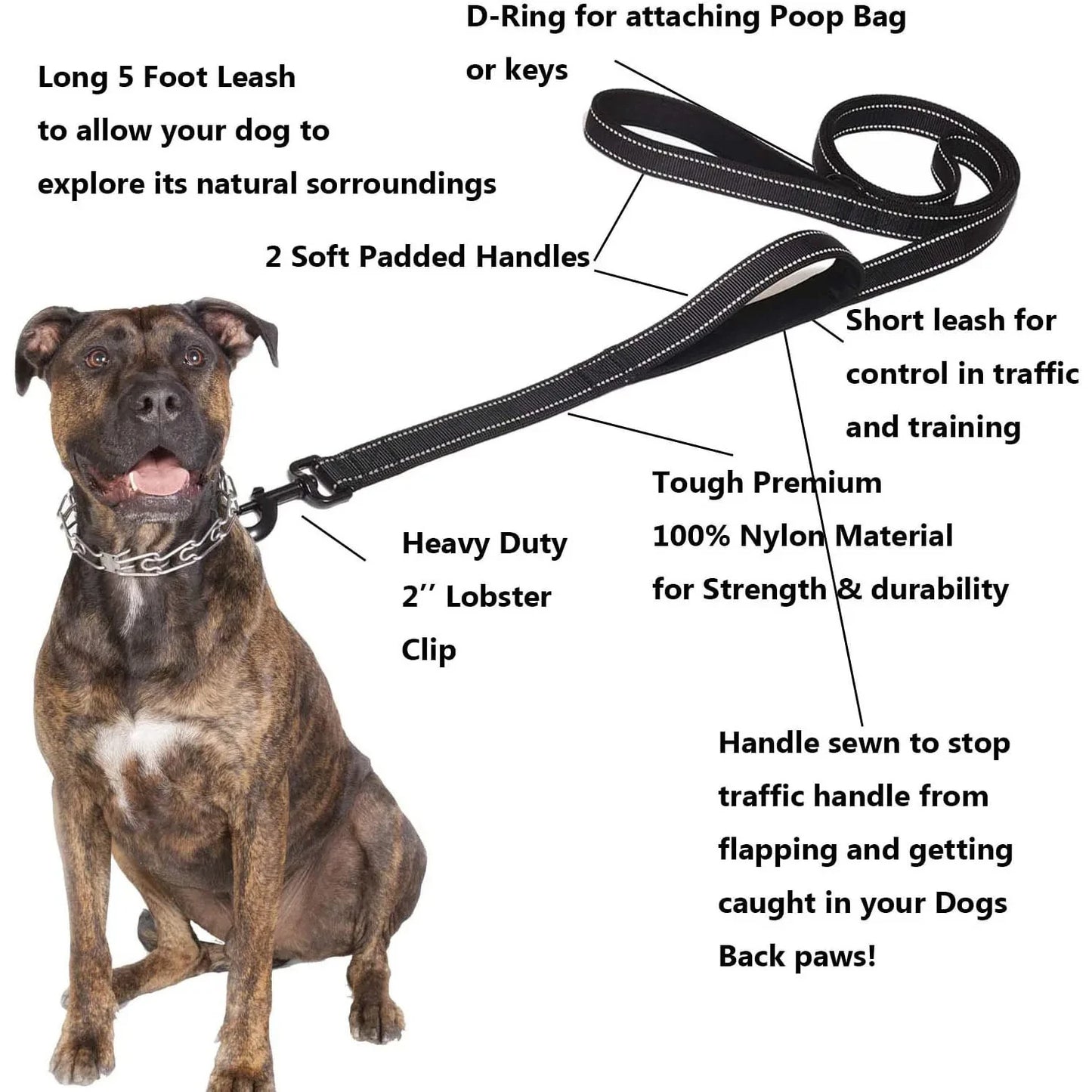 🇫🇷 Laisse pour chien double poignée – Laisse de dressage robuste pour promenade, voyage et contrôle renforcé  🇬🇧 Double Handle Dog Leash – Heavy-duty training lead for outdoor walks, travel & better control