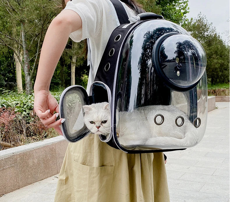 🇫🇷 Sac à dos capsule transparent pour chat et petit chien – Sac de transport respirant et portable  🇬🇧 Transparent Capsule Pet Backpack – Breathable and portable carrier for cats & small dogs