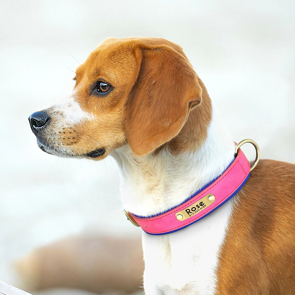 🇫🇷 Collier pour chien en cuir PU personnalisé – Doublure rembourrée, gravure gratuite du nom, réglable pour petits, moyens et grands chiens  🇬🇧 Customized PU Leather Dog Collar – Soft padded, free name engraving, adjustable for small, medium & large dogs