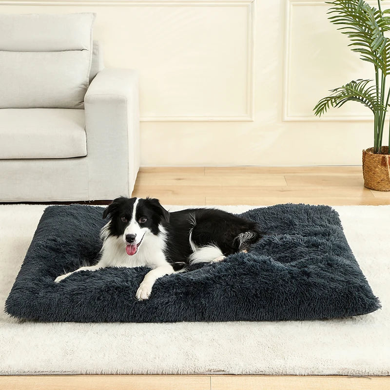 🇫🇷 Lit pour chien ultra doux – Maison en peluche longue, coussin confortable, panier ou canapé pour chiens, chats et petits animaux 🇬🇧 Soft Plush Dog Bed – Cozy House, Cushion or Sofa for Dogs, Cats & Small Pets, Ideal for Rest & Sleep