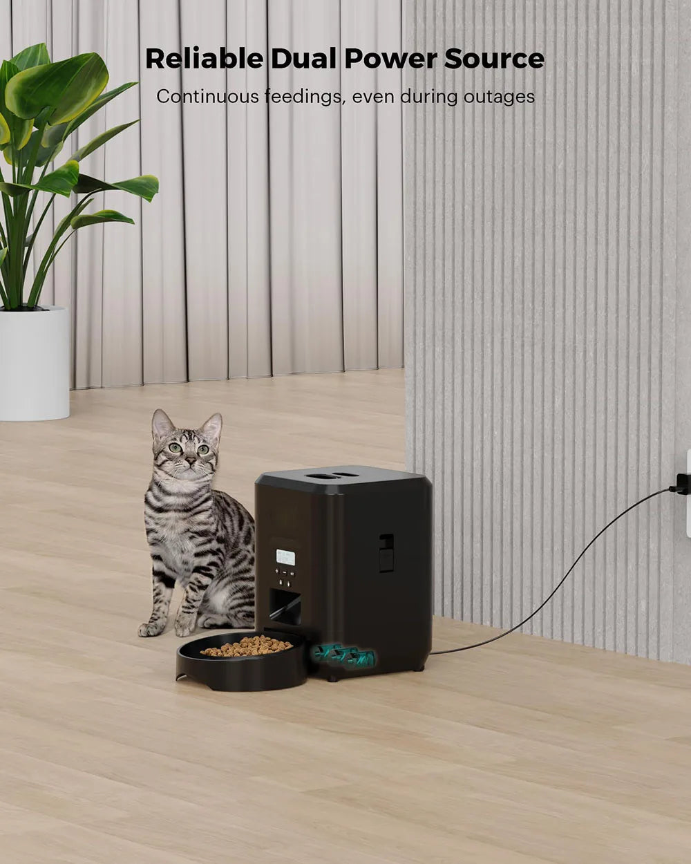 🇫🇷 🍽️ Nourriture programmée et lente – évite les excès ⏱️ Contrôle du temps – pour chiens et chats 🇬🇧 🍽️ Timed & slow feeding – avoids overeating ⏱️ Time control – for cats & dogs