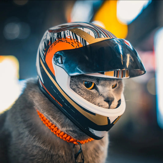 🇫🇷 Français : Casque de protection pour animaux – Mini casque pour chats et chiens, accessoire photo ou sortie  🇬🇧 English : DIY Pet Helmet – Mini Safety Hat for Cats & Dogs, Outdoor or Photo Prop