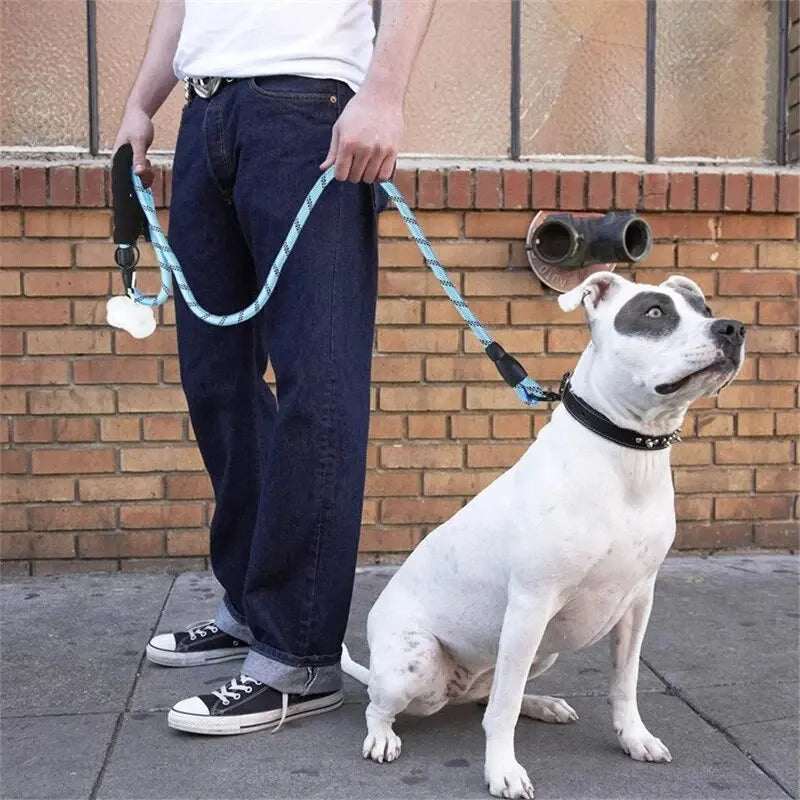 🇫🇷 Laisse pour chien réfléchissante avec poignée rembourrée – Corde double résistante pour chiens puissants, plus de sécurité et de contrôle  🇬🇧 Reflective Dog Leash with Padded Handle – Double Heavy-Duty Rope for Strong Dogs, Enhanced Safety & Control
