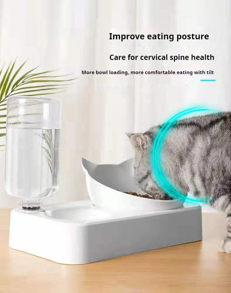 🇫🇷 Gamelles doubles pour chien & chat – Bols inclinés 15° surélevés avec bouteille d’eau automatique | 🇬🇧 Double Dog & Cat Bowls – 15° Tilted Raised Food & Water Bowls with Automatic Water Bottle Pet Feeder