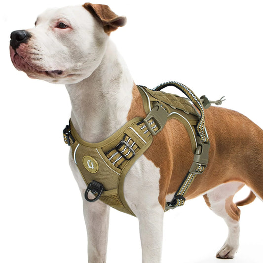 🇫🇷 Colliers stylés & confortables + modèles connectés pour suivre l’activité de votre chien. 🇬🇧 Stylish & comfy collars + smart models to track your dog’s activity.