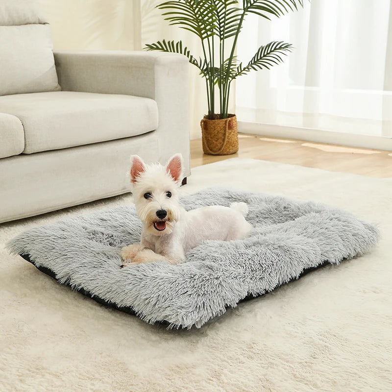 🇫🇷 Lit pour chien ultra doux – Maison en peluche longue, coussin confortable, panier ou canapé pour chiens, chats et petits animaux 🇬🇧 Soft Plush Dog Bed – Cozy House, Cushion or Sofa for Dogs, Cats & Small Pets, Ideal for Rest & Sleep