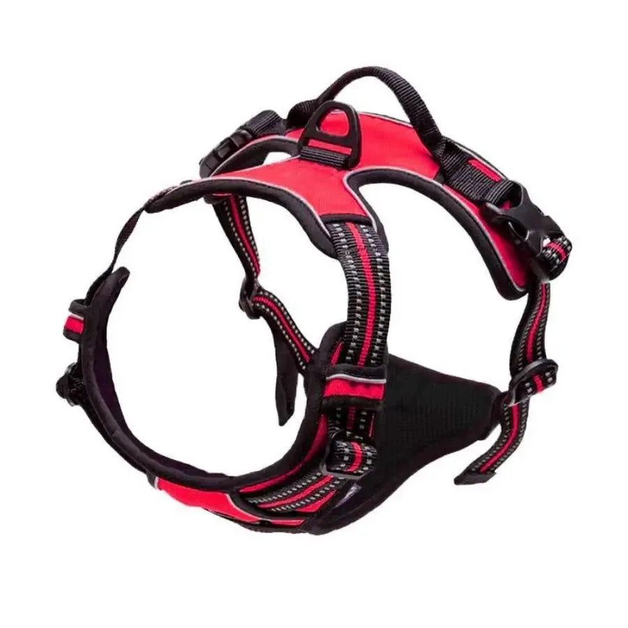 🇫🇷 Colliers, harnais, laisses et accessoires pour chiens – Ensemble cuir pour chiots, petits et moyens chiens. 🇬🇧 Dog collars, harnesses, leashes & accessories – Leather set for puppies, small & medium dogs.