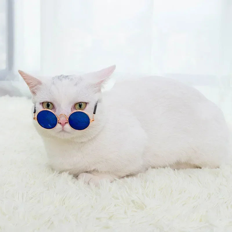 🇫🇷 Français : Lunettes de soleil pour chats et petits chiens – Protection UV, accessoire photo et cosplay  🇬🇧 English : Cat & Small Dog Sunglasses – UV Protection, Cute Cosplay & Photo Prop