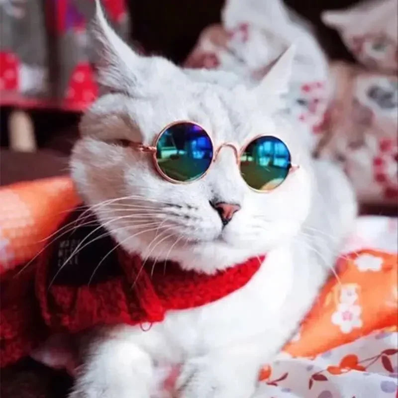 🇫🇷 Français : Lunettes de soleil pour chats et petits chiens – Protection UV, accessoire photo et cosplay  🇬🇧 English : Cat & Small Dog Sunglasses – UV Protection, Cute Cosplay & Photo Prop