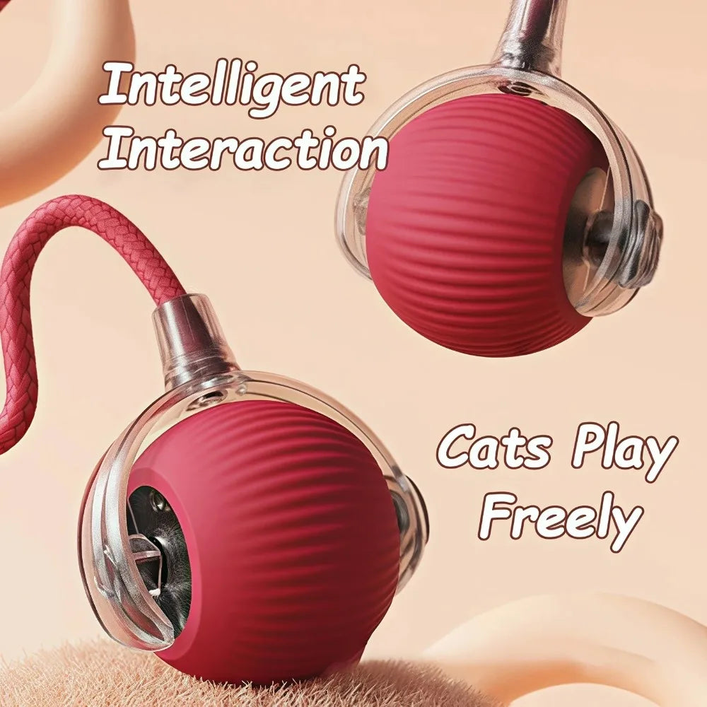 🇫🇷 Balle interactive rechargeable pour chat – balle roulante avec fausse queue, jouet intelligent imitant une souris pour stimuler et entraîner votre chat. 🇬🇧 Rechargeable smart cat ball – rolling toy with faux tail, mouse-like play for training & fun.