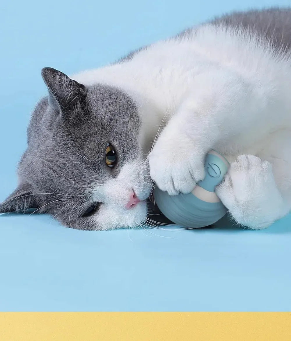 🇫🇷 Balle interactive intelligente pour chat – Jouet électronique automatique, roule toute seule et stimule l’instinct de chasse. 🇬🇧 Smart interactive cat ball – Automatic rolling electronic toy for indoor play & hunting fun.
