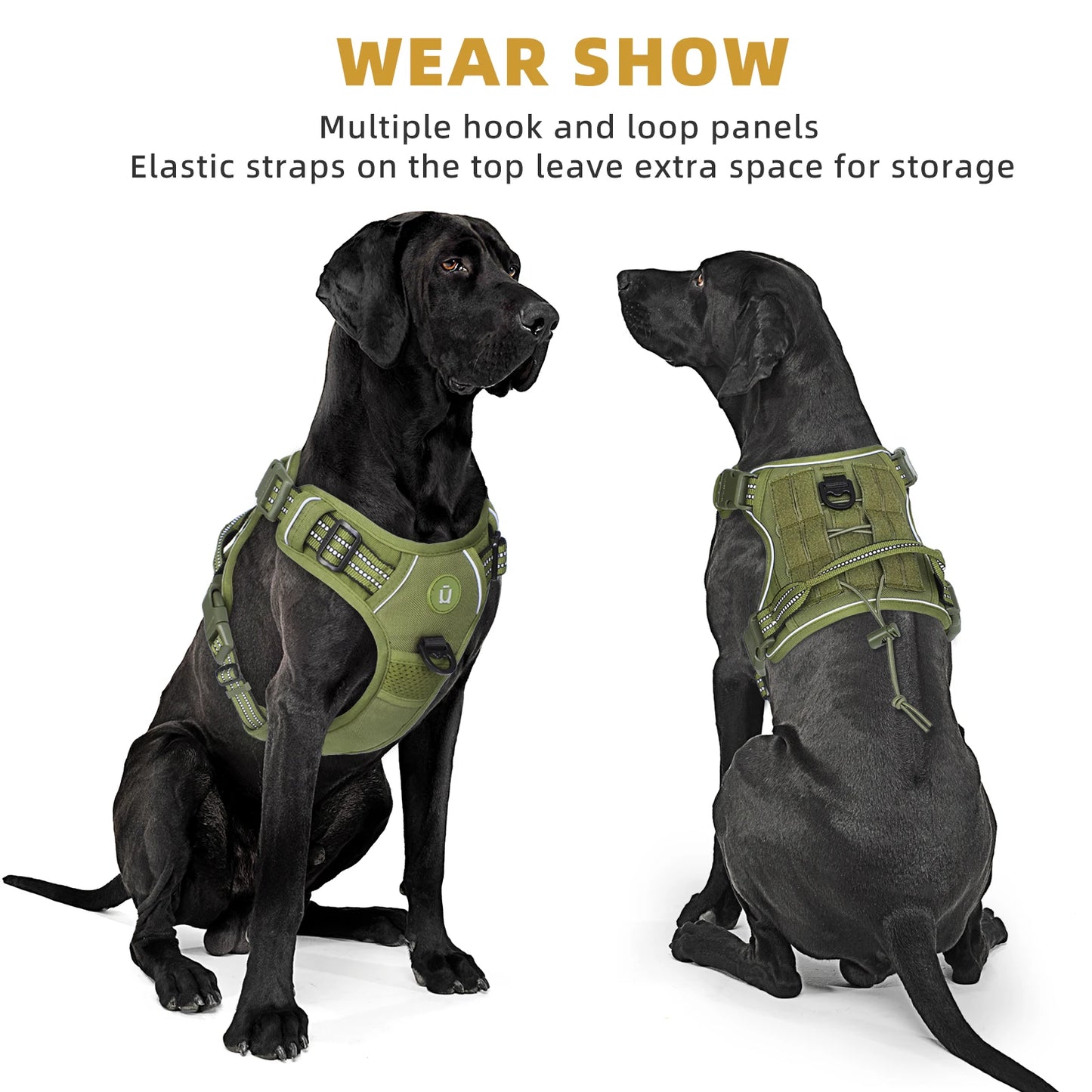 🇫🇷 Colliers stylés & confortables + modèles connectés pour suivre l’activité de votre chien. 🇬🇧 Stylish & comfy collars + smart models to track your dog’s activity.