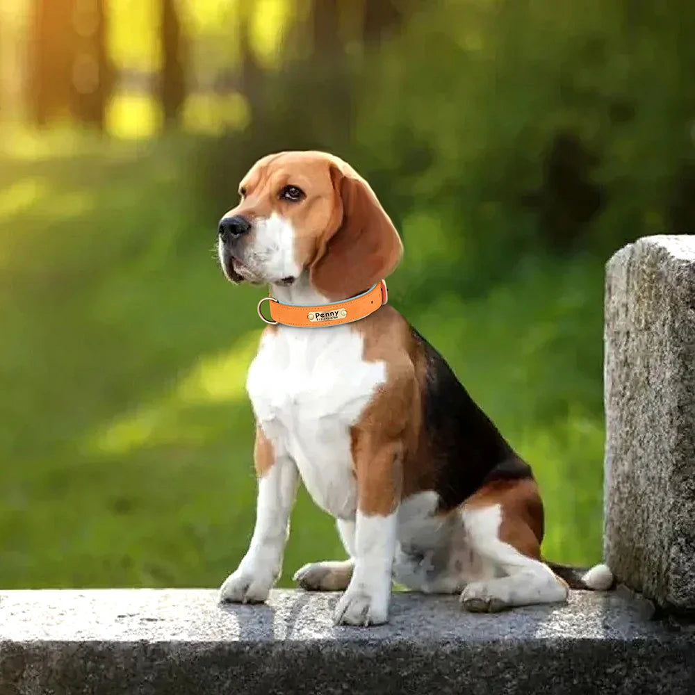 🇫🇷 Collier pour chien en cuir PU personnalisé – Doublure rembourrée, gravure gratuite du nom, réglable pour petits, moyens et grands chiens  🇬🇧 Customized PU Leather Dog Collar – Soft padded, free name engraving, adjustable for small, medium & large dogs