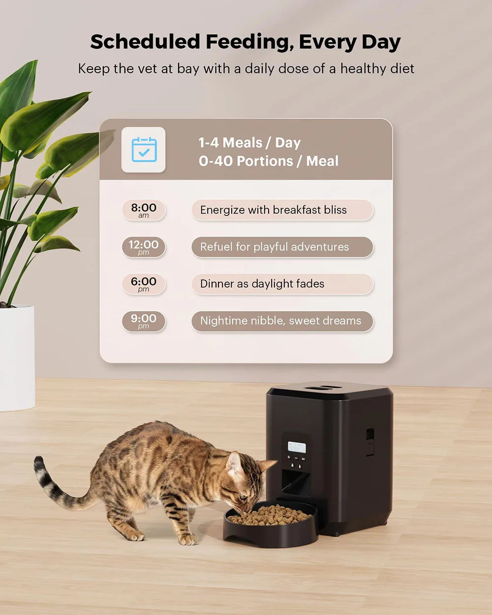 🇫🇷 🍽️ Nourriture programmée et lente – évite les excès ⏱️ Contrôle du temps – pour chiens et chats 🇬🇧 🍽️ Timed & slow feeding – avoids overeating ⏱️ Time control – for cats & dogs