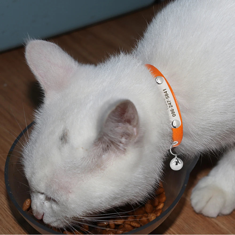 🇫🇷 Collier pour chat en cuir réglable – Personnalisé avec nom gravé, anti-perte, pour chatons et petits chiens  🇬🇧 Personalized Leather Cat Collar – Adjustable, engraved name, anti-lost, for kittens & small dogs
