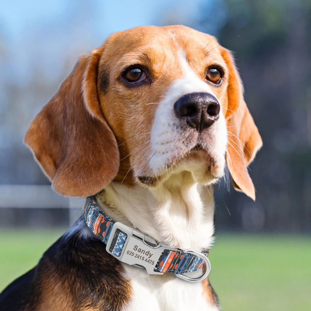 🇫🇷 Collier réglable en nylon pour chien – Personnalisé avec gravure sur la boucle, anti-perte, pour petits, moyens et grands chiens  🇬🇧 Adjustable Nylon Dog Collar – Personalized with engraved buckle, anti-lost, for small, medium & large dogs